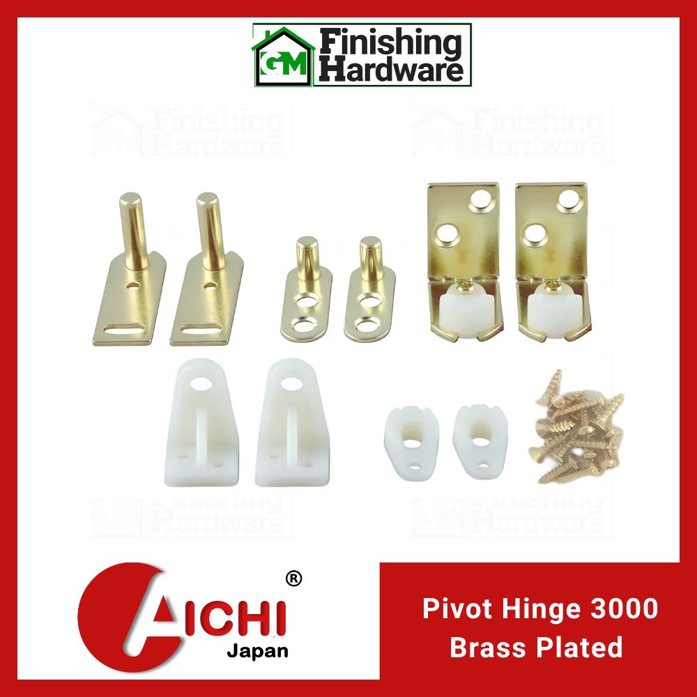 Aichi Door Pivot Hinge 3000 BP