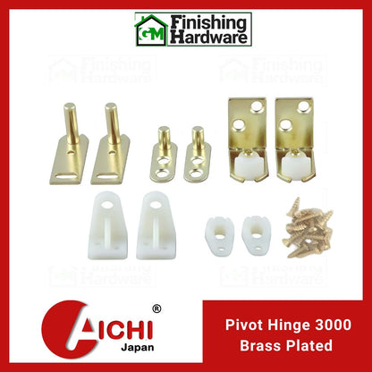 Aichi Door Pivot Hinge 3000 BP