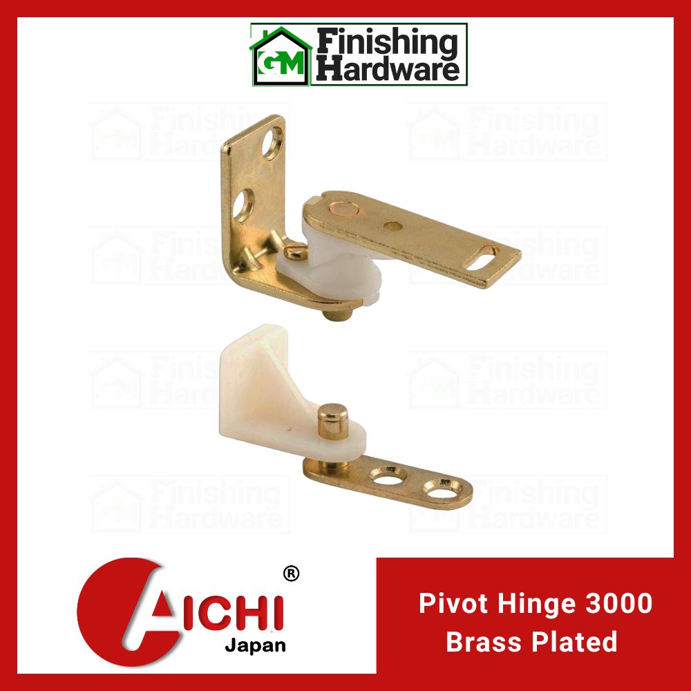 Aichi Door Pivot Hinge 3000 BP