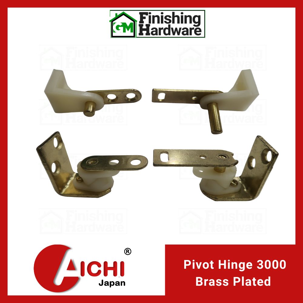 Aichi Door Pivot Hinge 3000 BP