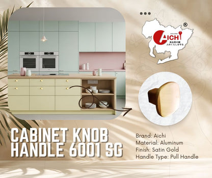 Aichi Cabinet Knob Handle 6001 SG