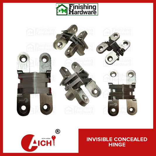 Aichi Concealed Invisible Door Hinge