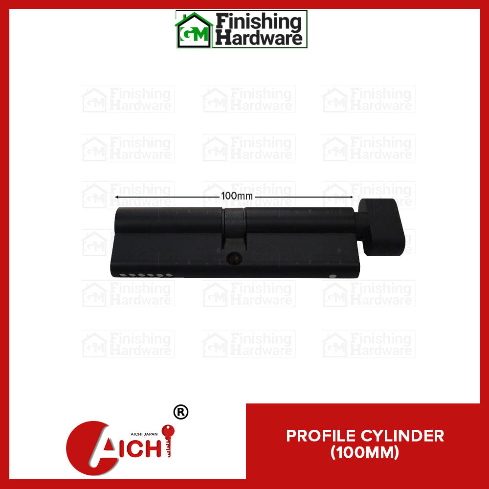 Aichi Euro Profile Cylinder (100mm)