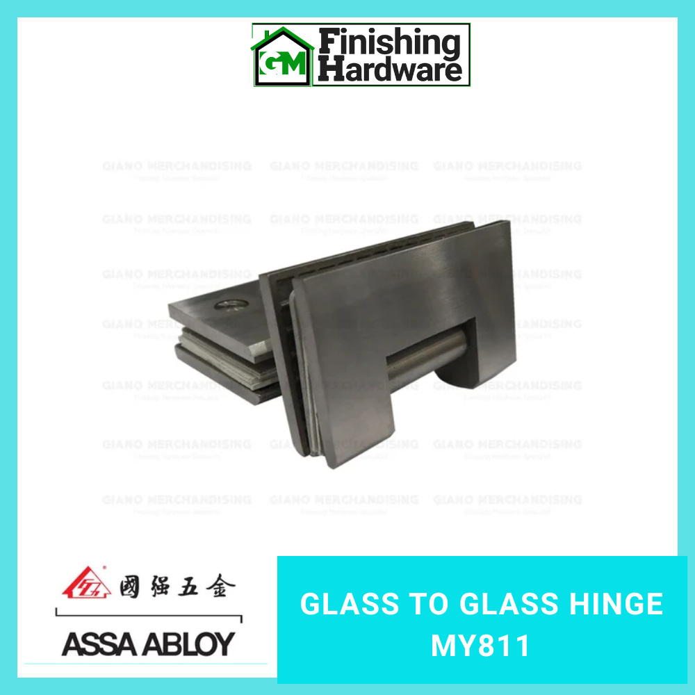 Assa Abloy Glass to Glass Hinge MY811