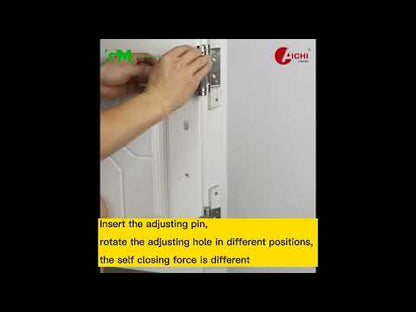 Aichi Double Action Door Hinge